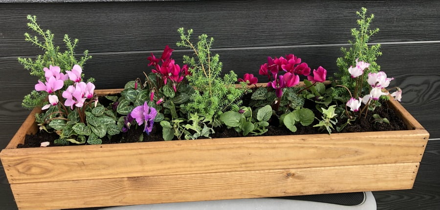 A Floral hanging basket from Bloom & Grow Floral in Didcot, Oxfordshire